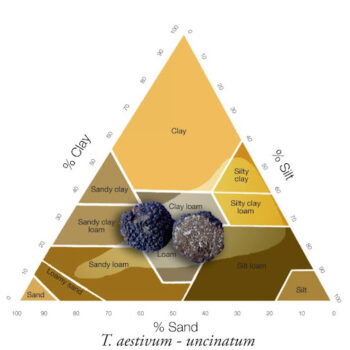 Soil diagram showing the natural range of soil types for Tuber aestivum