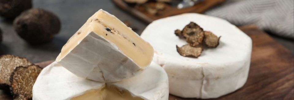 Creamy cheese infused with fresh truffle shavings