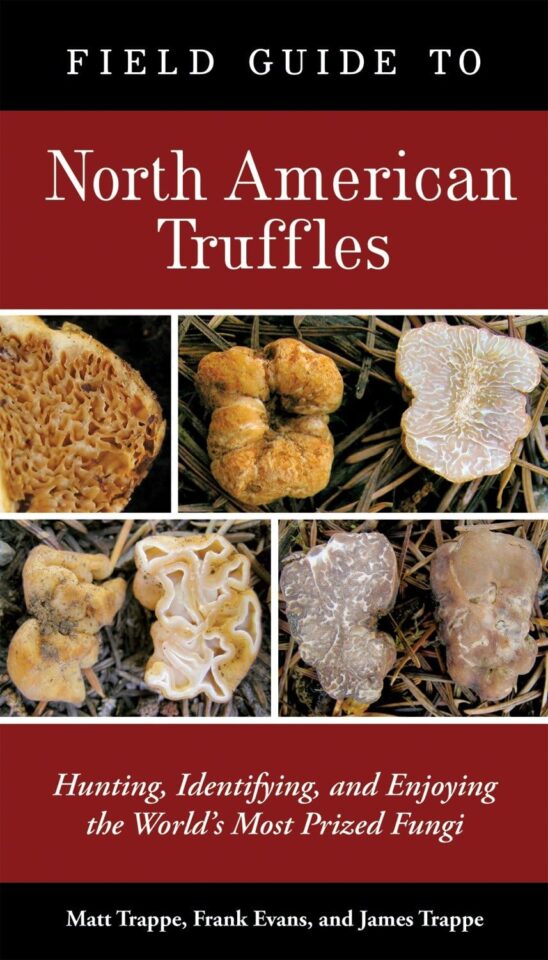 Field Guide to North American Truffles 1 Cover of Field Guide to North American Truffles