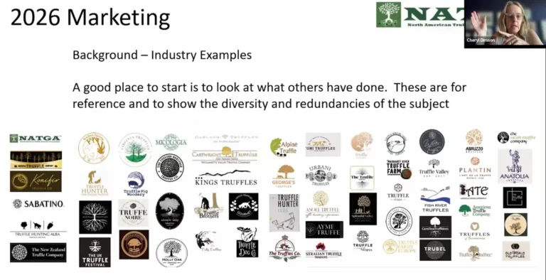 Slide from the logo re design discussion showing sample of logos used throughout the truffle industry.