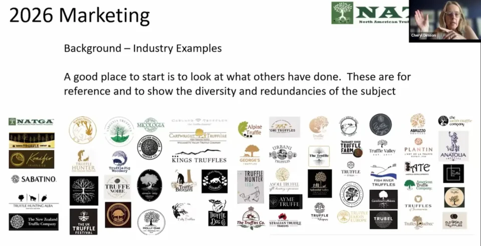 Slide from the logo re design discussion showing sample of logos used throughout the truffle industry.